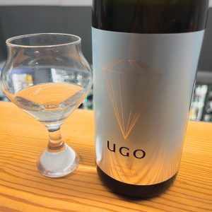 UGO AURORA